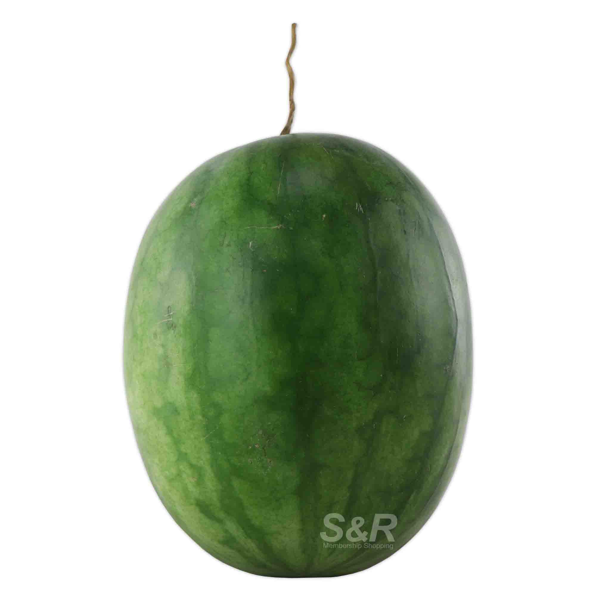 S&R Seedless Watermelon approx. 6kg